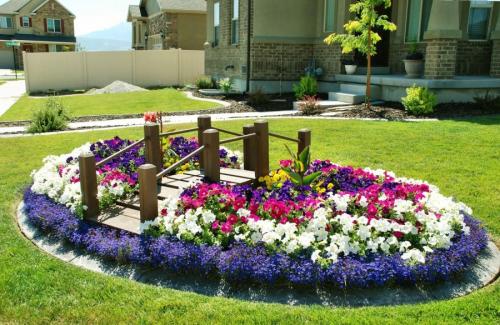 Солнечная клумба из многолетников. Клумбы из многолетников: правила и особенности выращивания для новичков (85 фото)