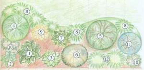 Схемы клумбы из многолетних цветов. Примеры схем цветников 03