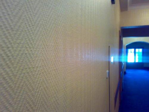 Стеклообои без покраски. Стеклообои —, что это такое и как с ними работать?