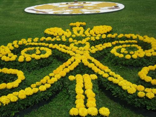 Цветы для клумбы — особенности создания и простые идеи + 66 фото