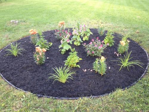 Цветник своими руками для начинающих. Клумба своими руками — роскошные идеи дизайнеров и советы по дизайну и оформлению (105 фото)