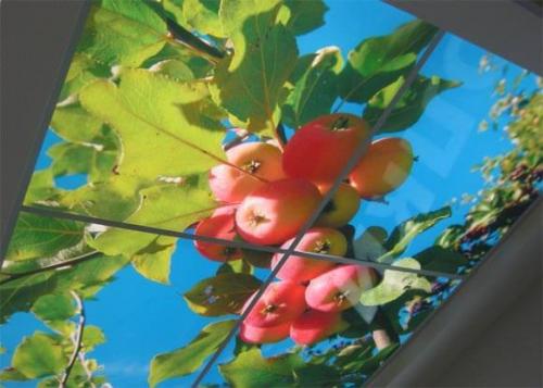 Ширина багета натяжного потолка. Пластиковые багеты 04 Ширина багета натяжного потолка. Пластиковые багеты 04