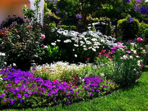 Цветник своими руками для начинающих. Клумба своими руками — роскошные идеи дизайнеров и советы по дизайну и оформлению (105 фото)