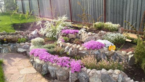 Цветы для клумбы — особенности создания и простые идеи + 66 фото