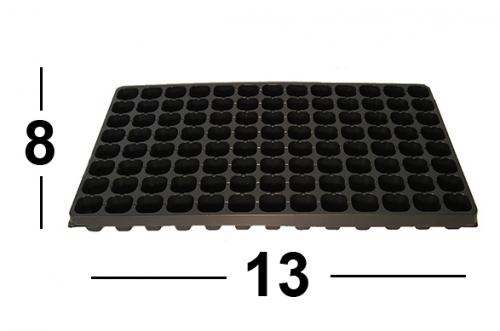 Хризантема ля роз. Хризантема