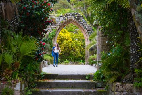 Как сделать арку для цветов своими руками. Садовая арка — советы и инструкции по постройке своими руками (120 фото-идей)