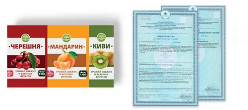 Мандариновые деревья картинки. Мандарин — ареал распространения, полезные свойства, противопоказания, домашние сорта + 95 фото 21 Мандариновые деревья картинки. Мандарин — ареал распространения, полезные свойства, противопоказания, домашние сорта + 95 фото 21