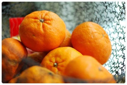 Мандариновые деревья картинки. Мандарин — ареал распространения, полезные свойства, противопоказания, домашние сорта + 95 фото