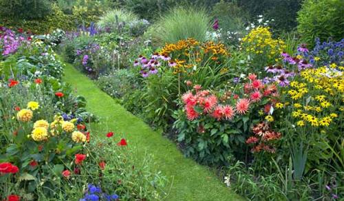 Как сделать клумбу цветущую все лето. Как посадить клумбы цветущие все лето: лучшие цветы с фото