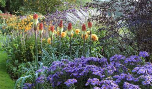 Как сделать клумбу цветущую все лето. Как посадить клумбы цветущие все лето: лучшие цветы с фото