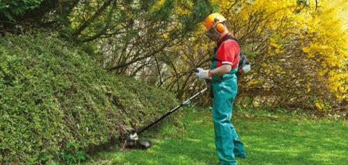 Ремонт триммера своими руками. Конструкция бензокосы 01