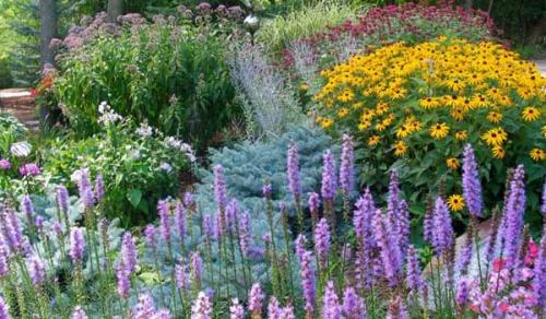 Как сделать клумбу цветущую все лето. Как посадить клумбы цветущие все лето: лучшие цветы с фото