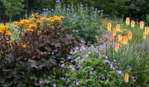 Как сделать клумбу цветущую все лето. Как посадить клумбы цветущие все лето: лучшие цветы с фото