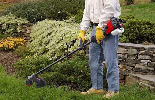 Ремонт триммера своими руками. Конструкция бензокосы 13