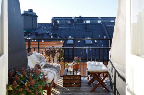 Квартира с мягкими интерьерами и небольшой террасой (53 кв. м) 12