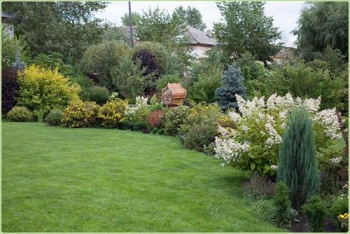 Миксбордер из кустарников и многолетников на фоне забора. Виды миксбордеров 06