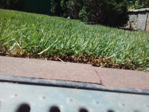 Неровный участок, как выровнять. Выровнять участок своими руками — подробная инструкция, советы экспертов и обзор технологий для быстрого и эффективного выравнивания земли (140 фото)