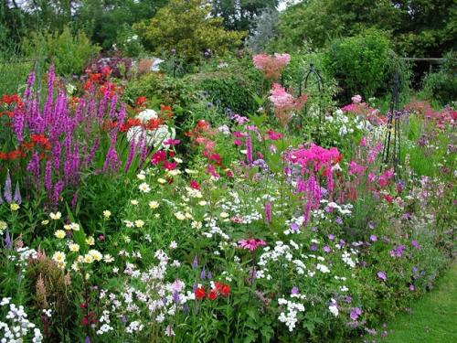 Миксбордер из кустарников и многолетников на фоне забора. Виды миксбордеров 05