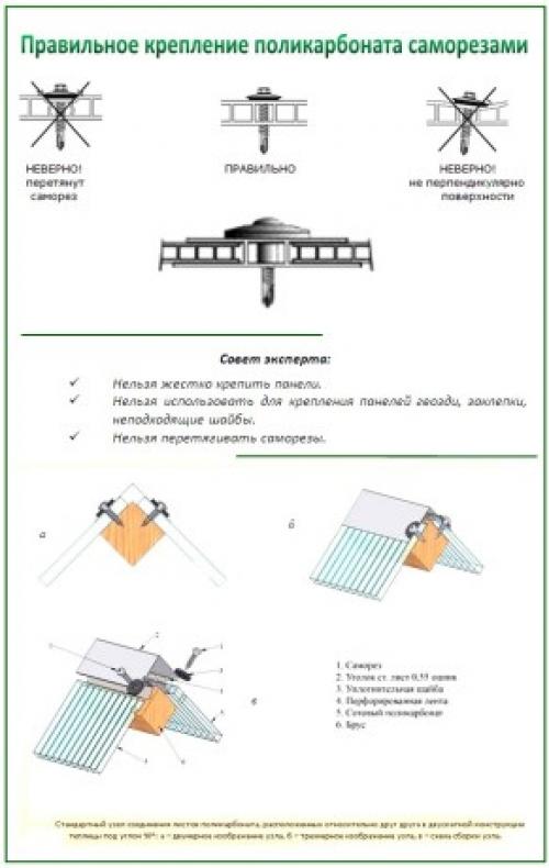 Как покрыть теплицу поликарбонатом своими руками. Правила покрытия теплицы поликарбонатом 06