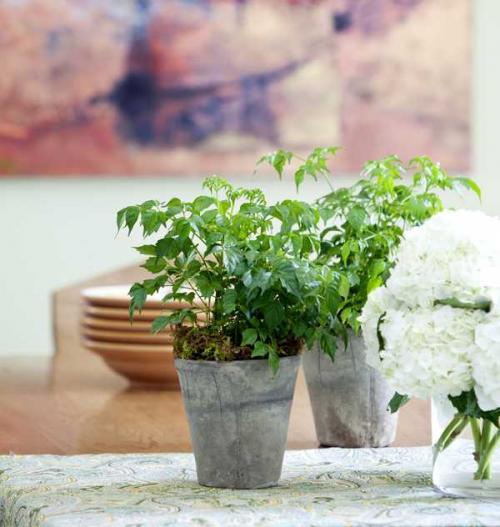 Красивая современная кухня 04