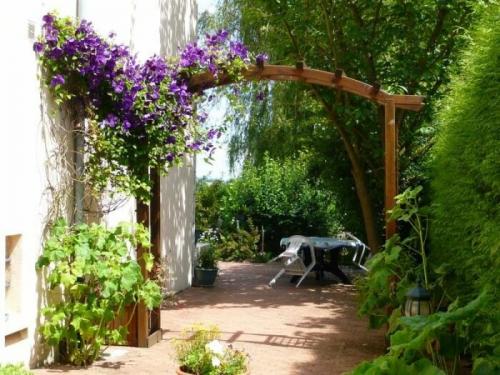 Какие цветы посадить вдоль забора, чтобы цвели все лето. Общие рекомендации желающим украсить забор, строения, участок.