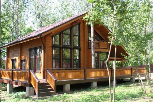 Какие кустарники можно посадить осенью. Какие деревья и кустарники лучше сажать осенью и почему? 05