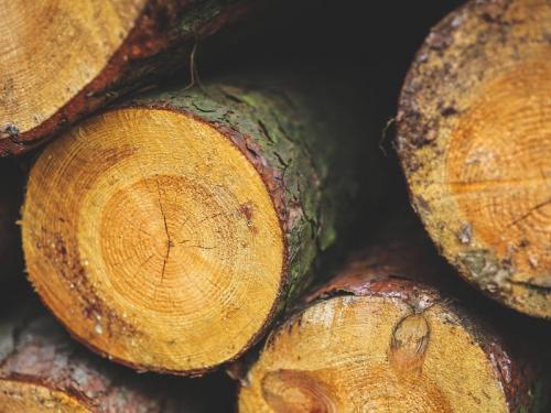 Что лучше сруб или брус. Преимущества и недостатки пиломатериалов 01 Что лучше сруб или брус. Преимущества и недостатки пиломатериалов 01