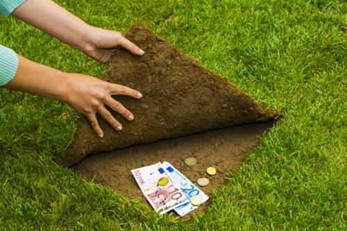 Какой газон лучше посадить на даче. Как понять, какой газон нужен 03 Какой газон лучше посадить на даче. Как понять, какой газон нужен 03