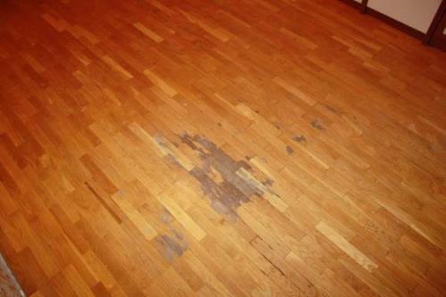 Если поднялся паркет, как можно поправить. Вздутие паркета: причины и последствия