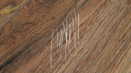 Как убрать внутреннее повреждение паркета. Причины повреждений 03 Как убрать внутреннее повреждение паркета. Причины повреждений 03