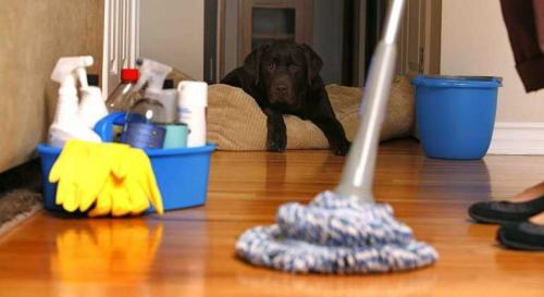 Вода под паркетом, что делать. Минимизируем потери своими силами 12