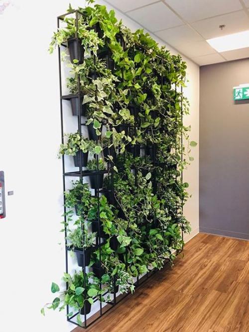 Как оформить пустую стену: 10 оригинальных идей для вашего интерьера 05 Как оформить пустую стену: 10 оригинальных идей для вашего интерьера 05