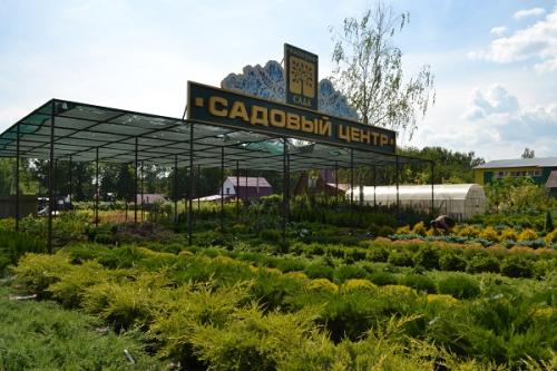 Разновидности вьющихся садовых растений. Общие рекомендации желающим украсить забор, строения, участок. 07 Разновидности вьющихся садовых растений. Общие рекомендации желающим украсить забор, строения, участок. 07