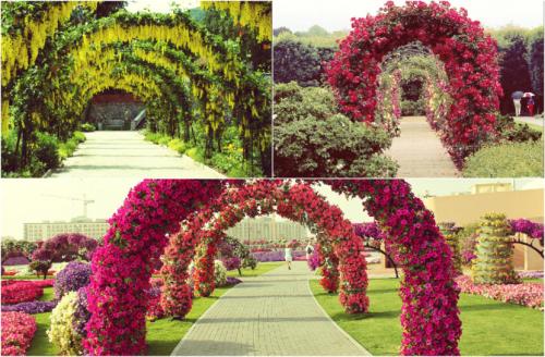 Цветочные арки. Конструкции арок