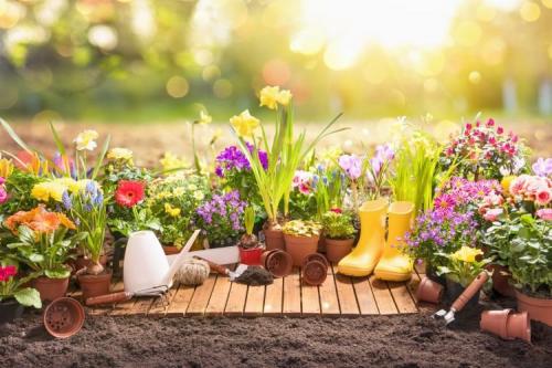 Дачные хитрости своими руками из подручных материалов. 30 полезных лайфхаков для дачи своими руками