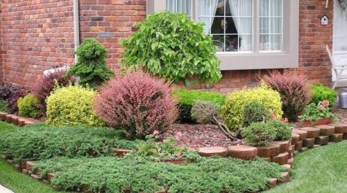 Красивоцветущие кустарники в ландшафтном дизайне. Декоративные кустарники: сорта, советы по выбору и уходу