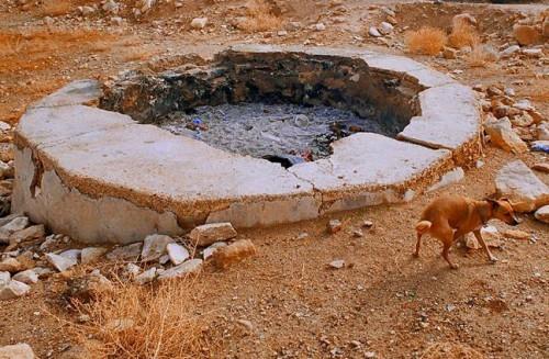 Как хранить гашеную известь в домашних условиях. Использование и хранение гашеной извести