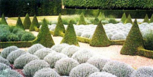 Шаблоны для стрижки кустов. Как сделать шаблон для фигурной стрижки живой изгороди?