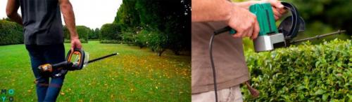 Стрижка кустов инструмент. Как пользоваться кусторезом: основные моменты