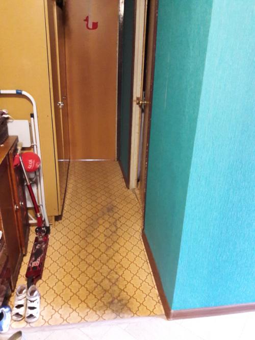 Плинтус в цвет дверей или пола. помогите с цветом плинтуса!