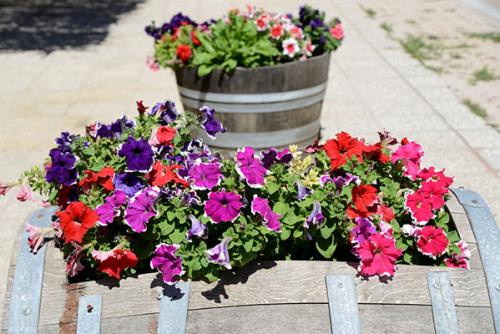 Красивая дача своими руками. Идеи для оформления клумб 02