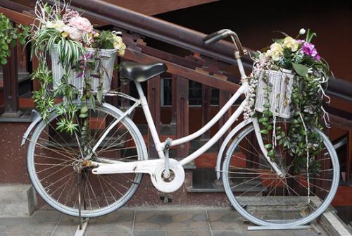 Красивая дача своими руками. Идеи для оформления клумб 01