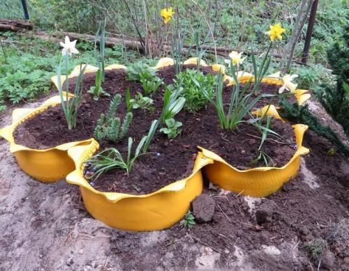 Идеи для клумбы. Клумбы для цветов на даче своими руками – 70 лучших вариантов