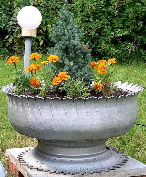 Идеи для клумбы. Клумбы для цветов на даче своими руками – 70 лучших вариантов