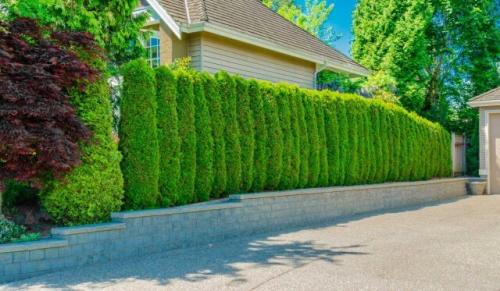 Забор своими руками дешево и красиво. Как сделать самый дешевый забор для дачи своими руками?