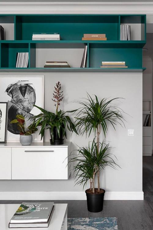 Белый плинтус в интерьере с темным полом. Белый плинтус с темным полом: дизайнерский «кант» для стен