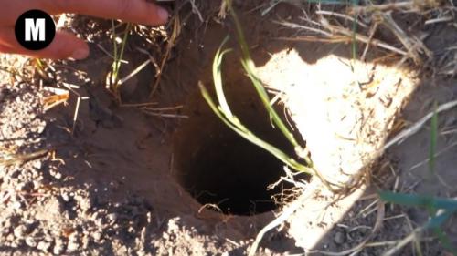 Быстрая установка столбов для забора. Устанавливаем заборные столбы своими руками надежно