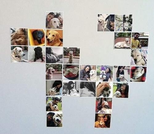 Как можно создать стену с картинками своими руками. Как расположить фотографии на стене (33 схемы)