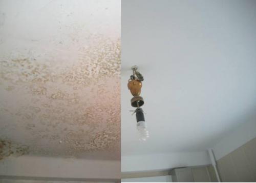 Сколько слоев краски можно наносить на потолок. Сколько раз нужно красить потолок, чтобы не было видно разводов