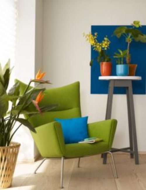 Какие растения лучше всего подходят для создания уюта в доме. 6 неприхотливых, но эффектных растений для домашнего уюта